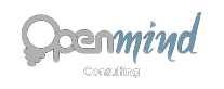 Openmind Consulting