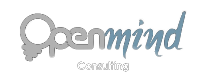 consulting